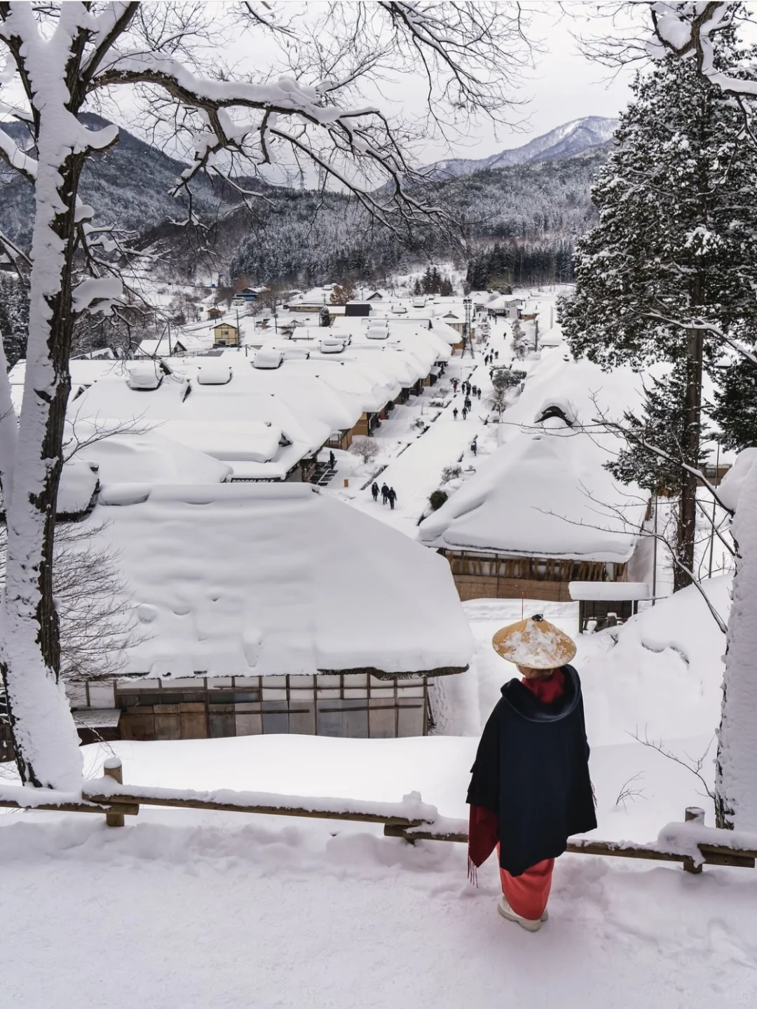 真心建议！放弃北海道，今年我还想去青森过冬