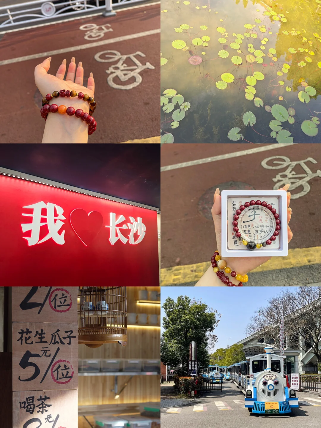 12.10📍长沙已回。。( 😭😭2个人快崩溃了……