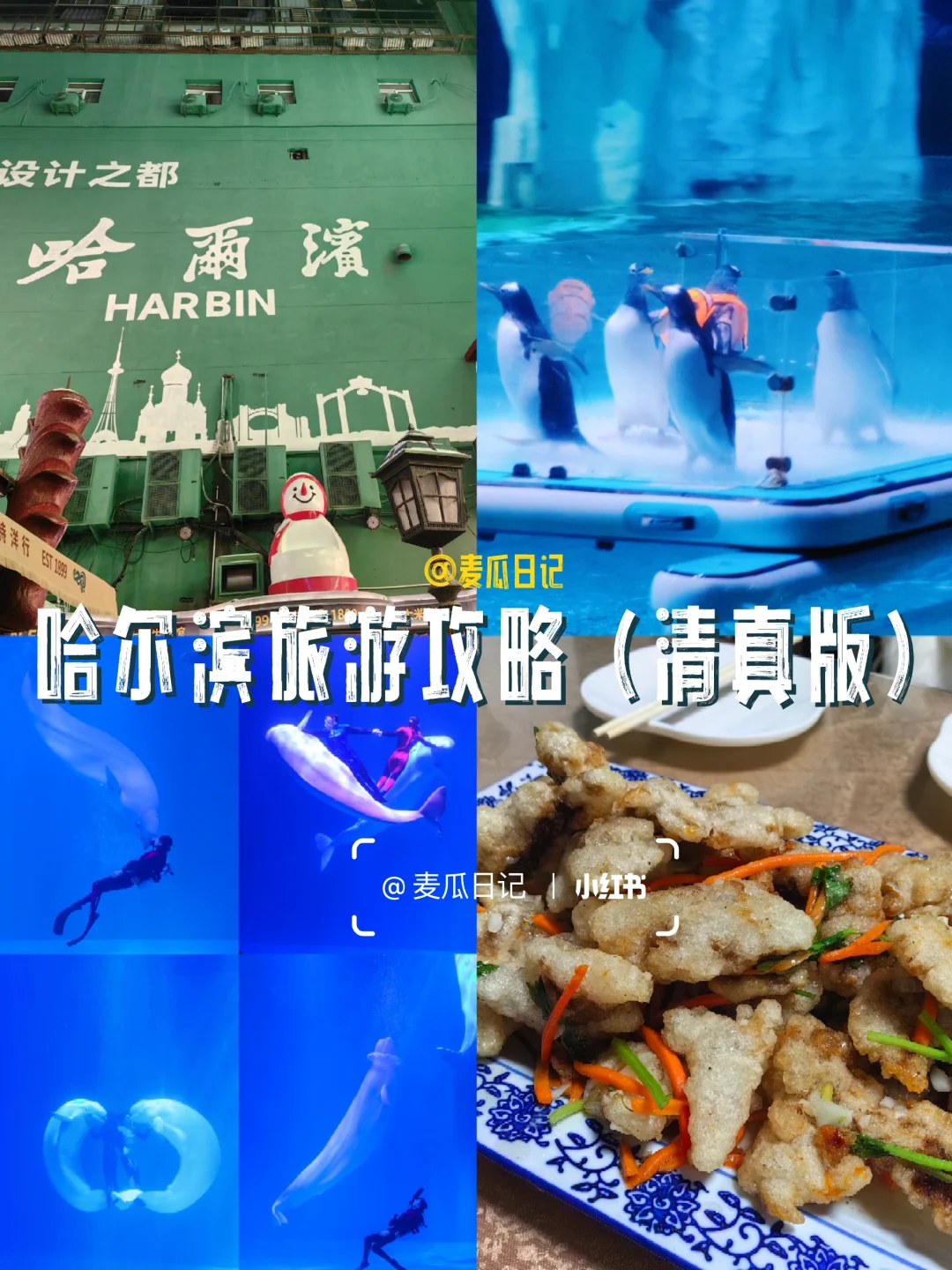 ❄哈尔滨旅游攻略（清真版）1.0