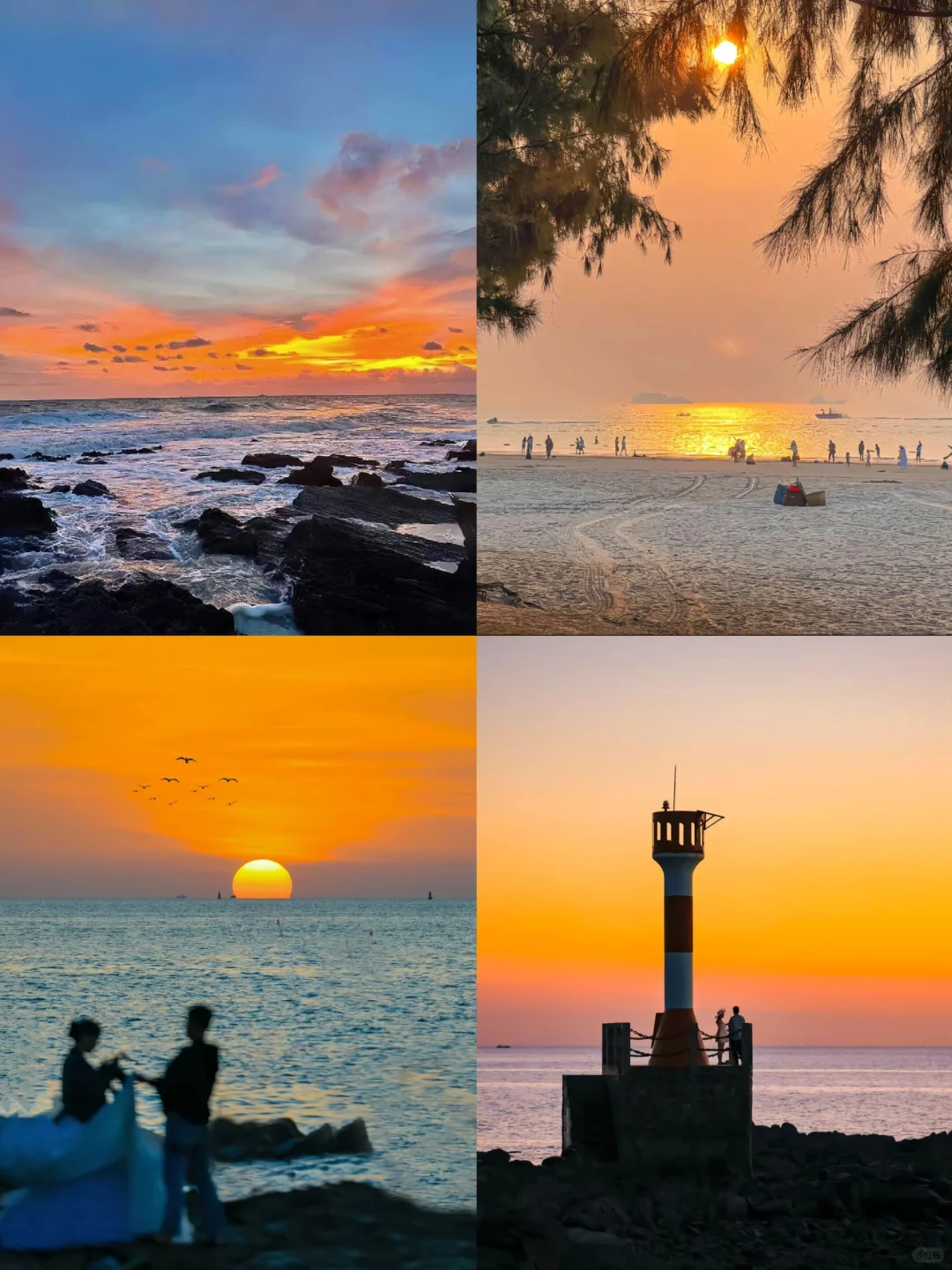 🌈北海| 12-2月冬季避寒旅行的宝地！