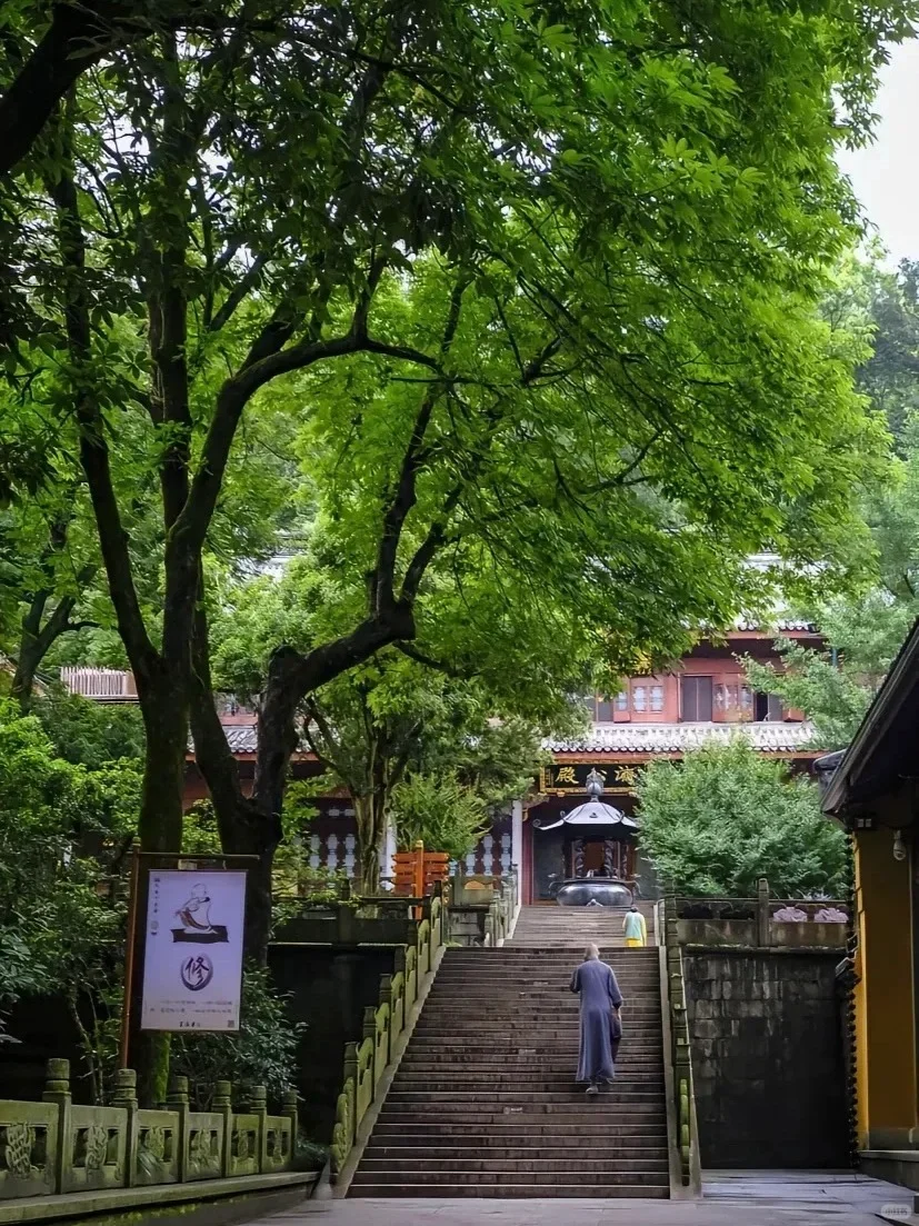 工作3年整理！杭州最全旅游攻略！1篇顶10篇