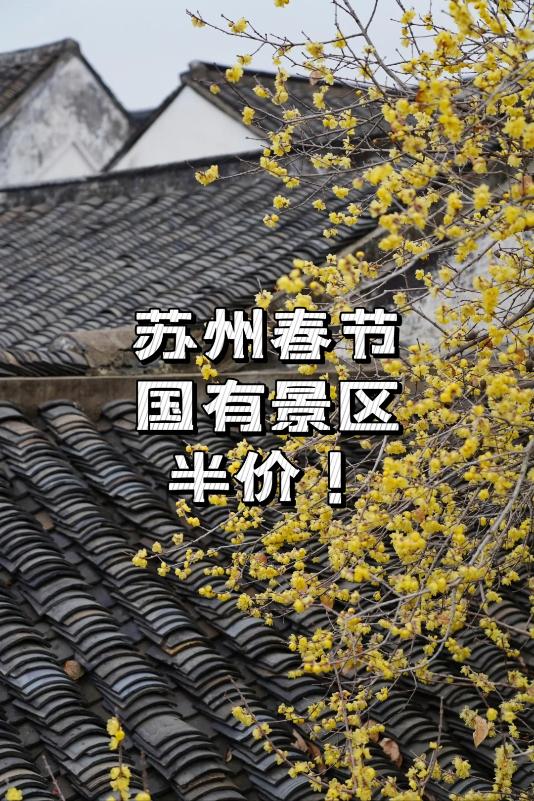 春节半价（附景区清单）•苏州冬天旅游指南
