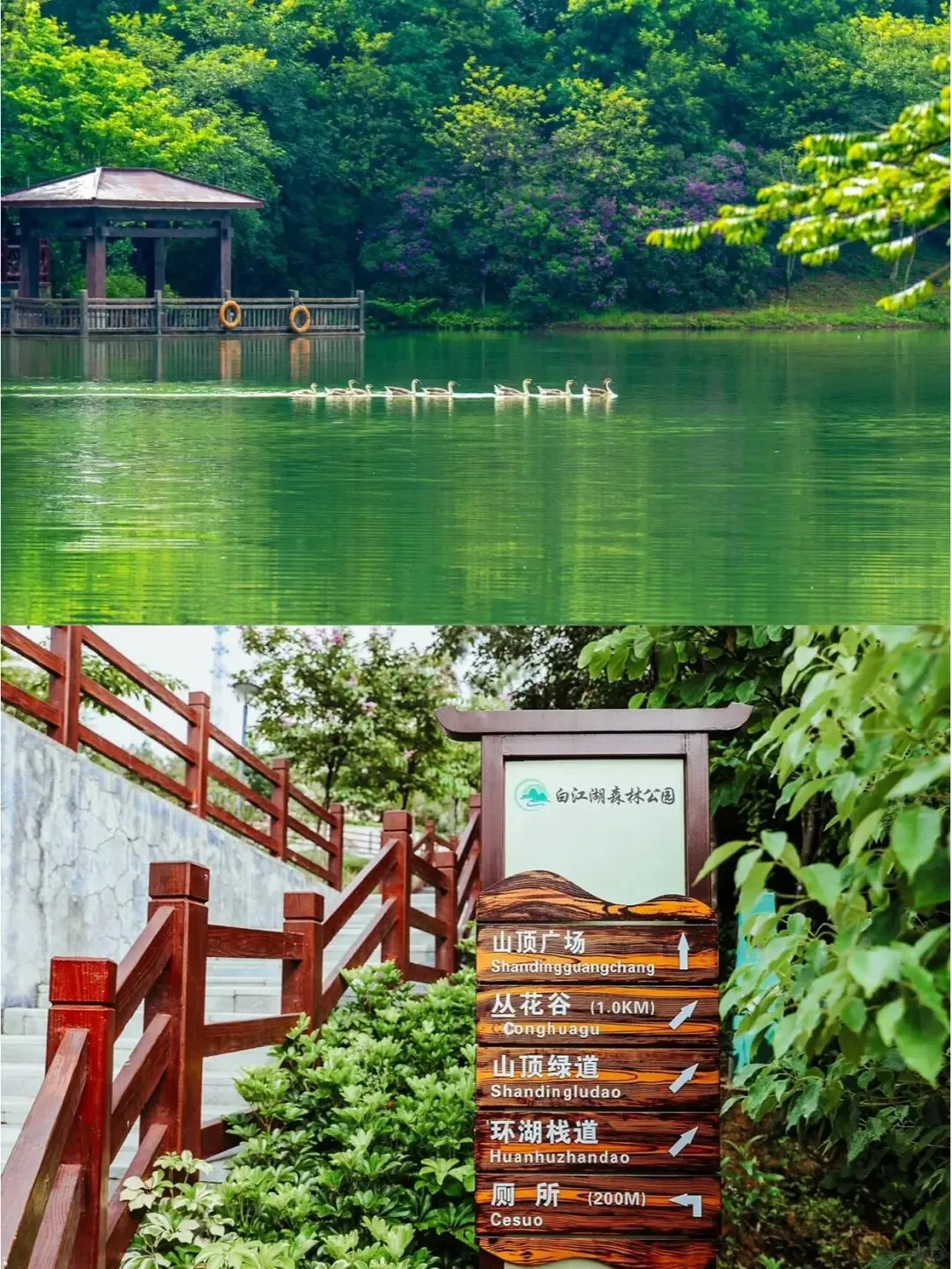 元旦爬山好去处，广东必去的7条绝美路线