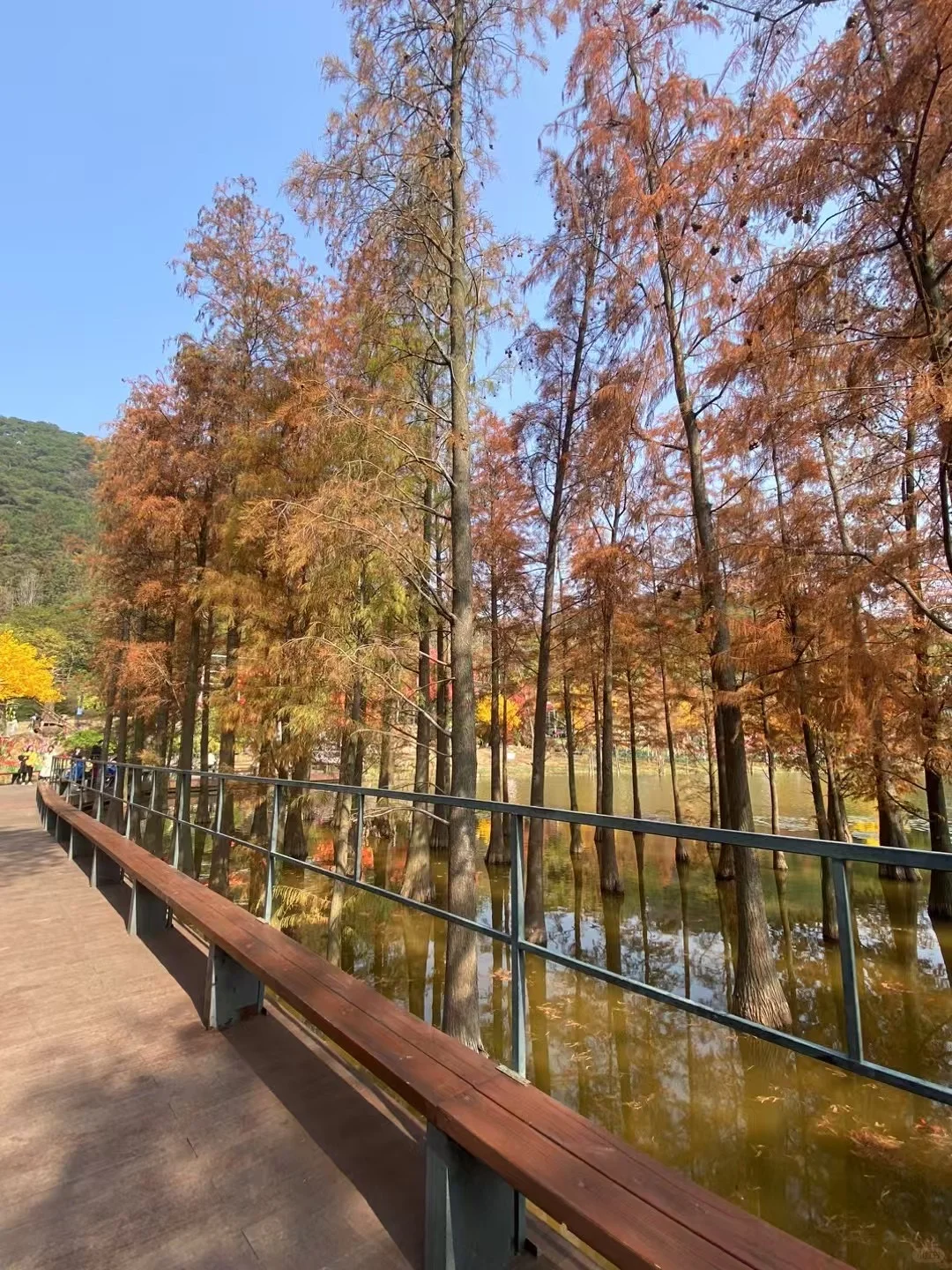南宁地陪兼职日记📔 打卡青秀山