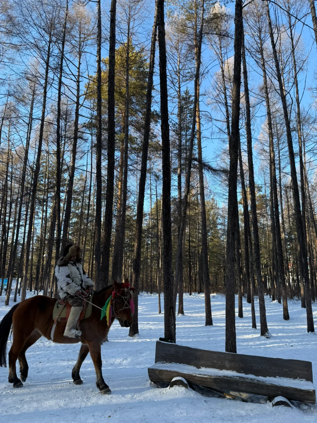 漠河旅游
