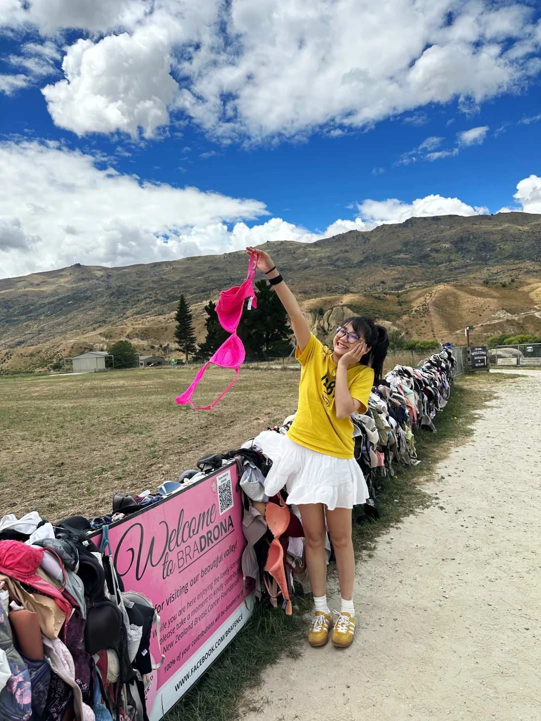Cardrona bra fence