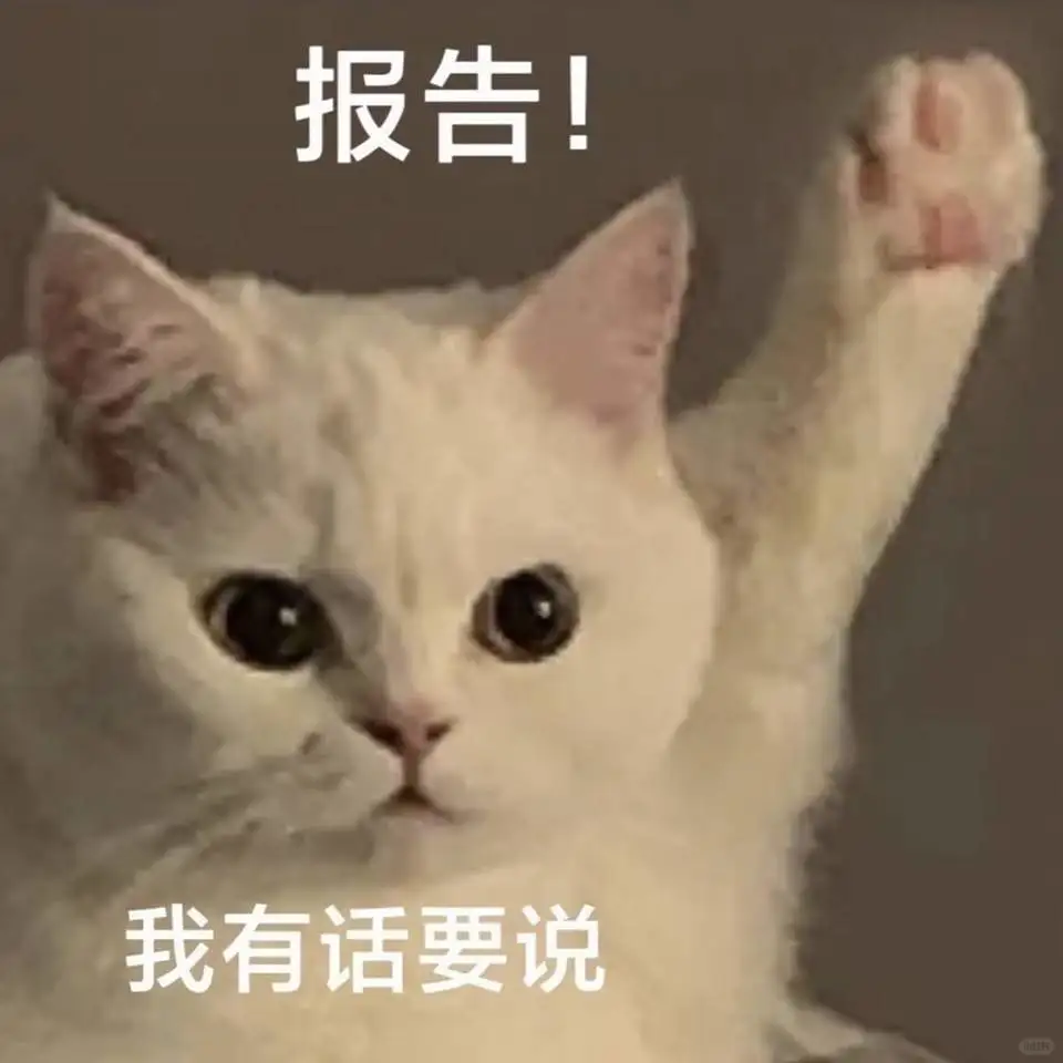 2025春节期间旅游搭子