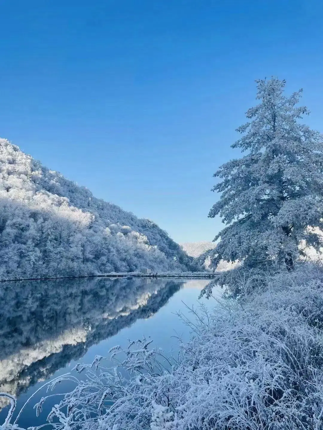 冬游阿勒泰❄6天旅游攻略📸码住！人均3k+