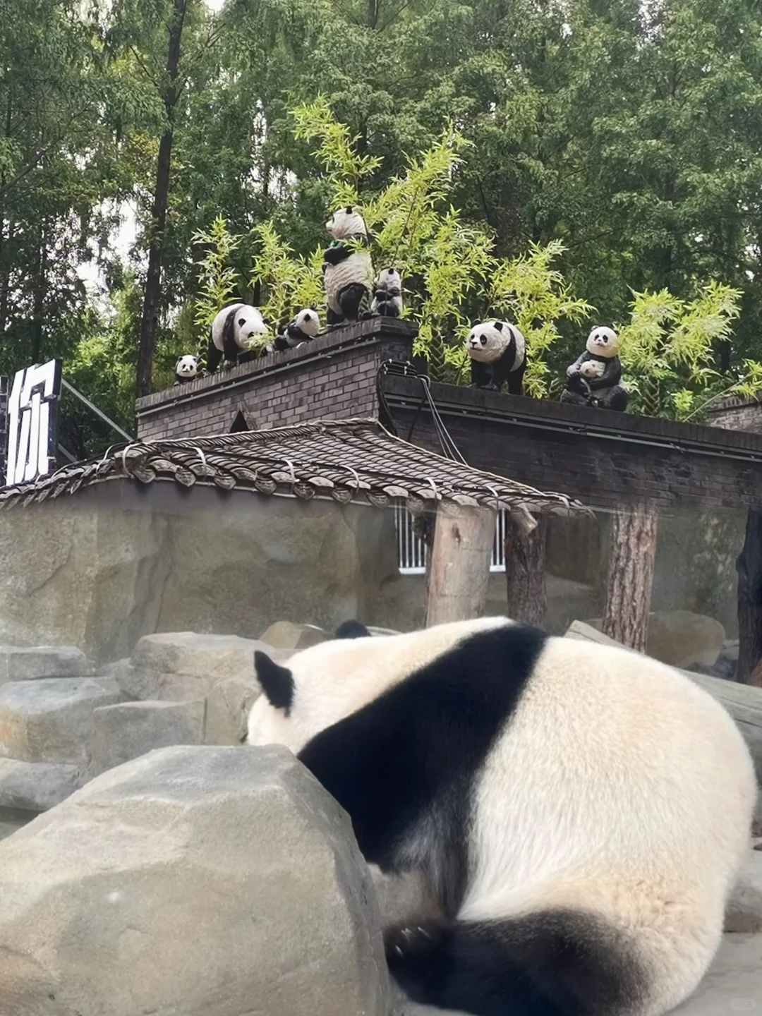 03女大📍成都/三天二夜精华版旅游攻略！