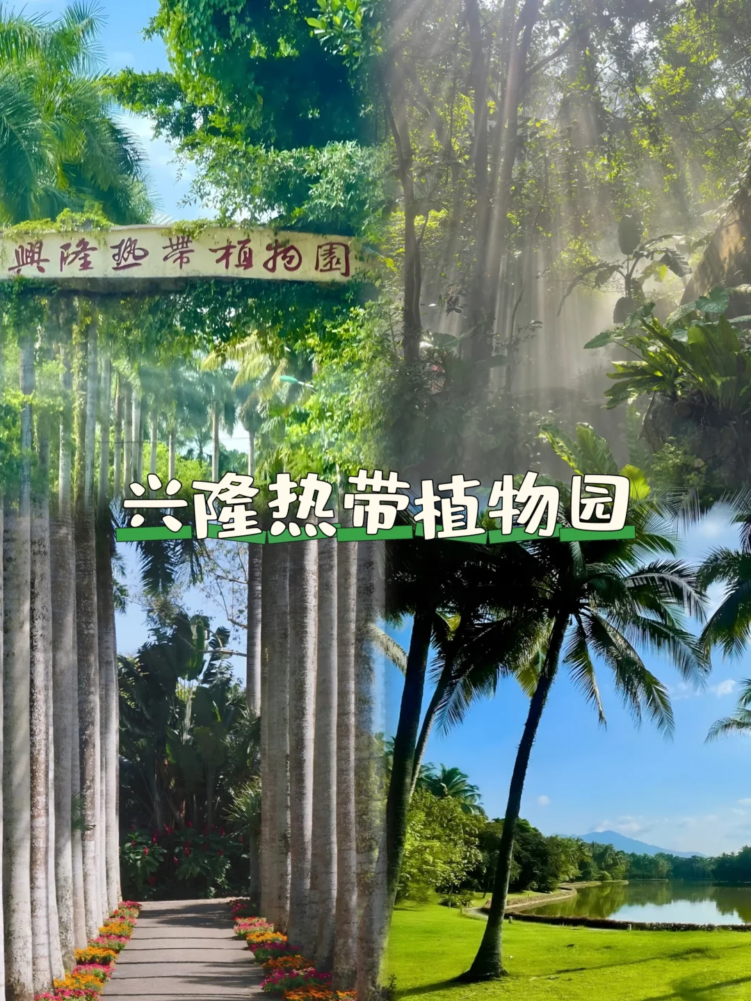 🌴万宁超详细旅游攻略 | 邂逅椰林与大海