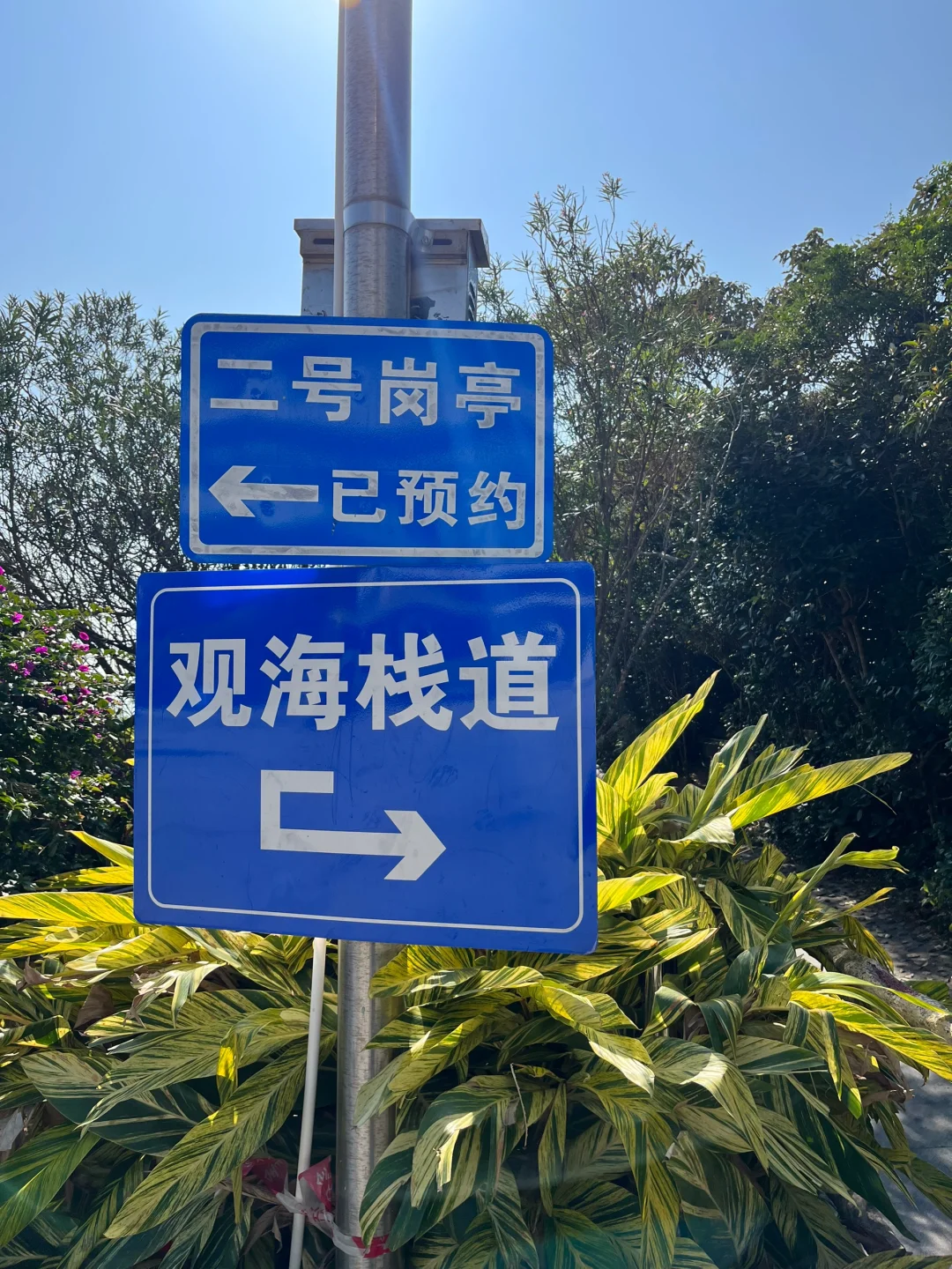 深圳旅游攻略（天文台&杨梅坑）