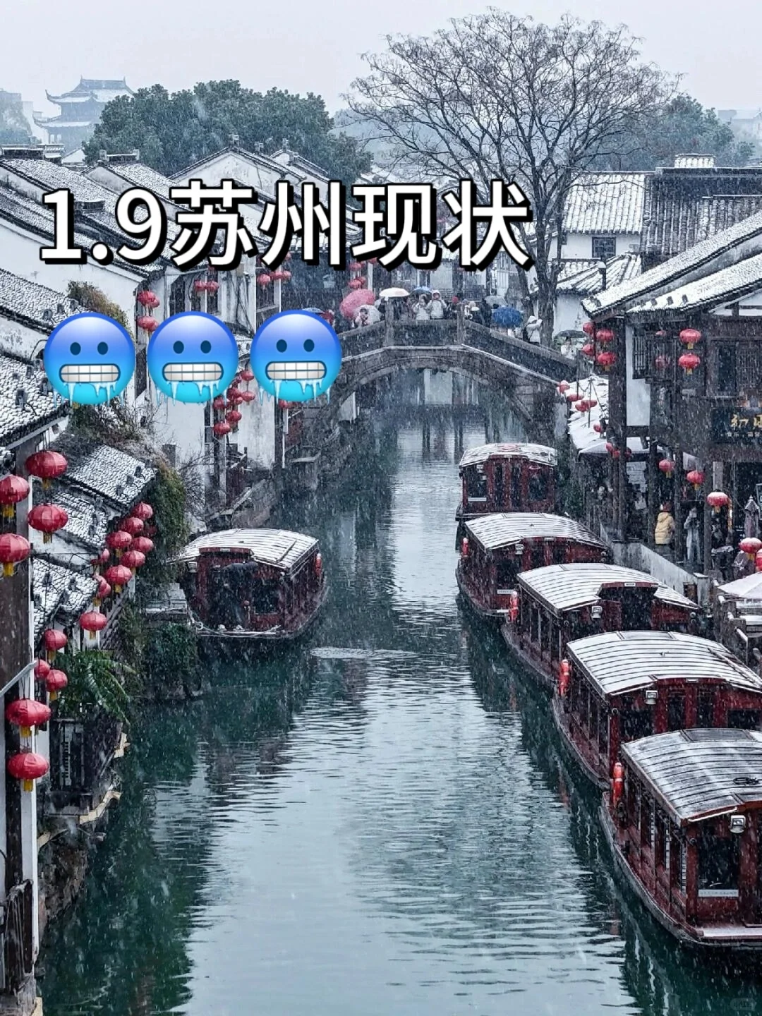 1月份苏州现状，想去的姐妹们尽早改行程