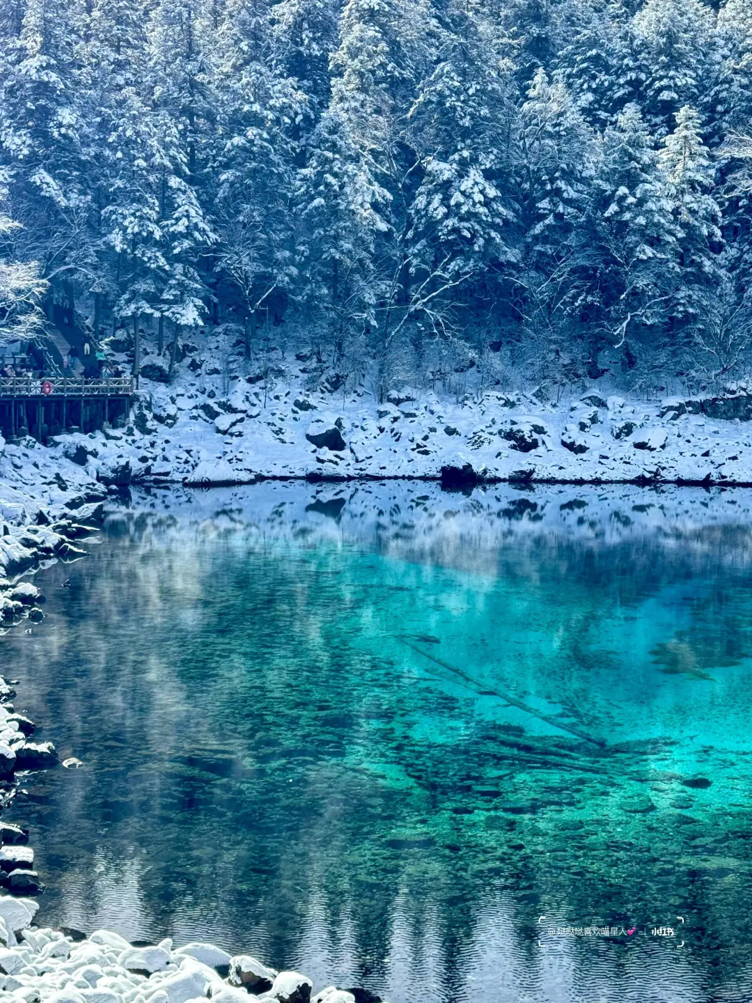 12.28📍九寨沟豪赌成功！简直不要太美了