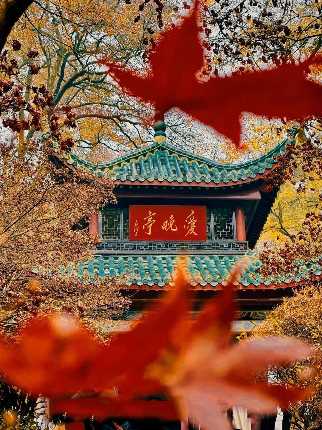 去过这9⃣️个地方才算到过长沙‼️