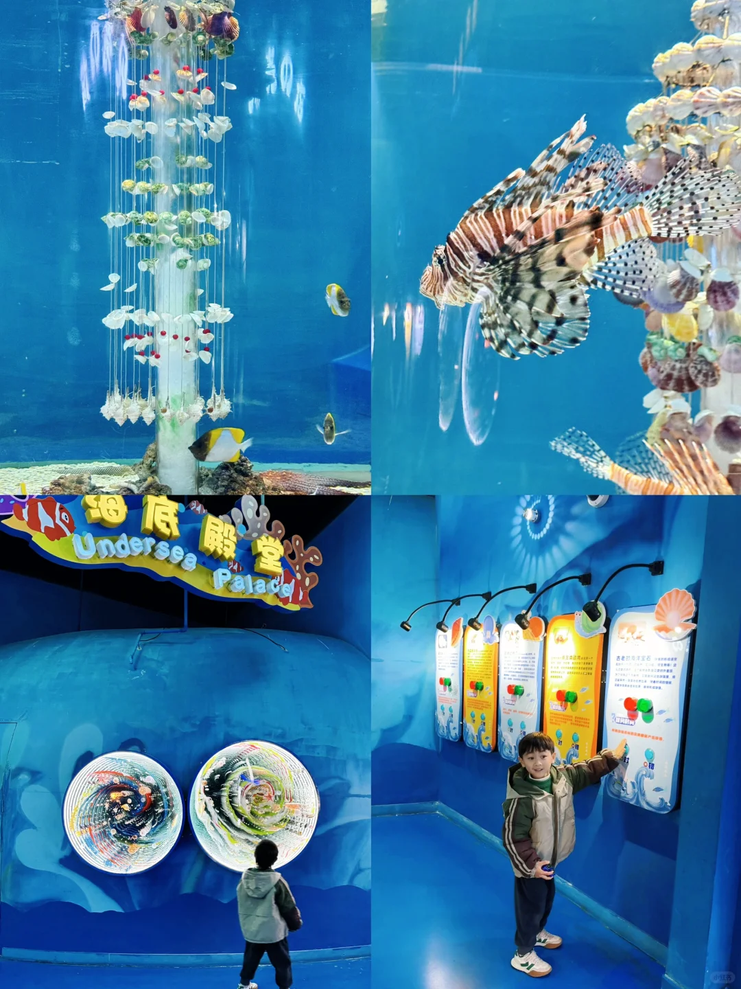 上海海昌海洋公园一日游旅游攻略（超详细！）