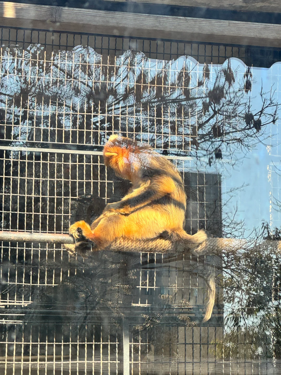 培训