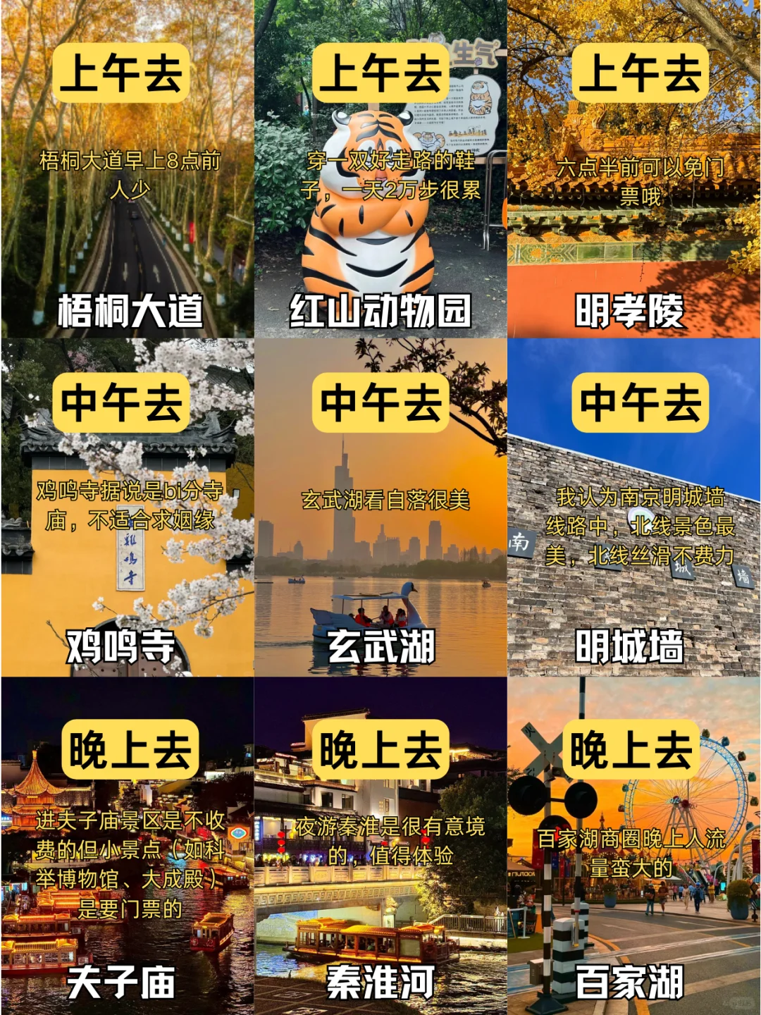 来南京旅游，千万别把顺序搞反啦！🌟