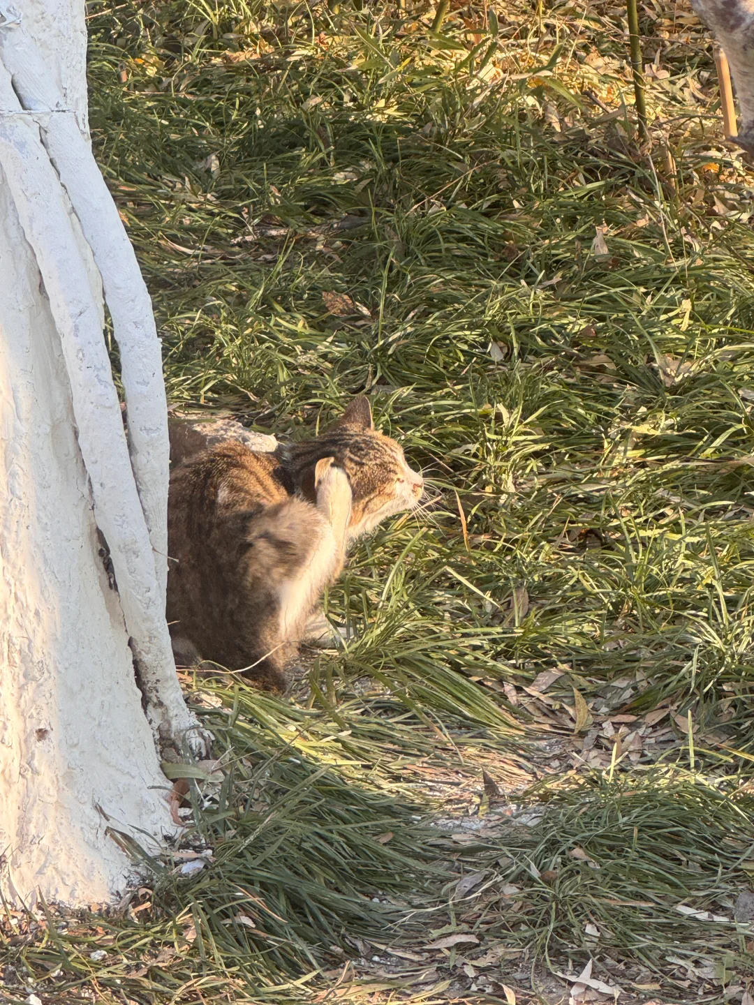 培训