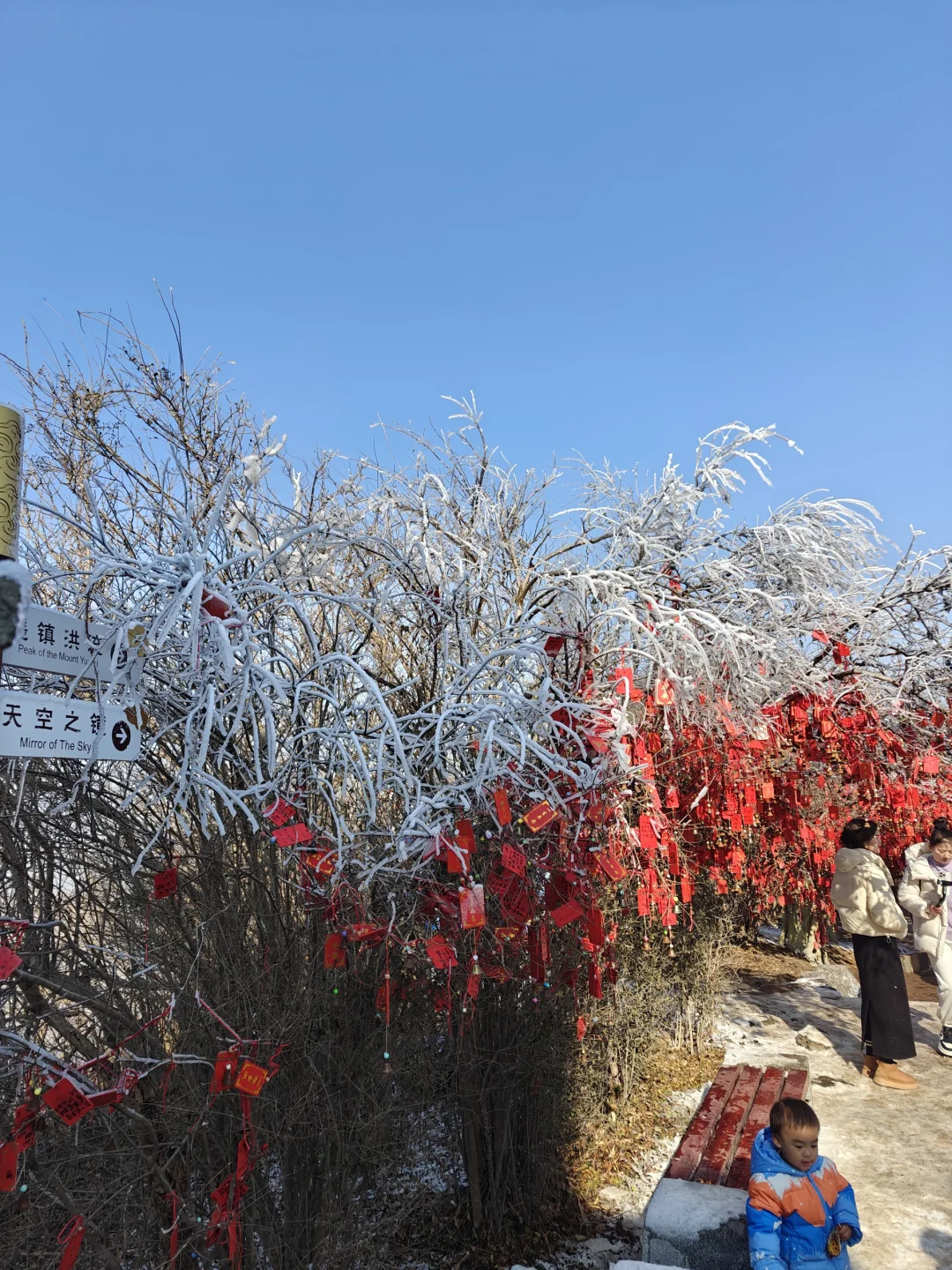 浅游花果山
