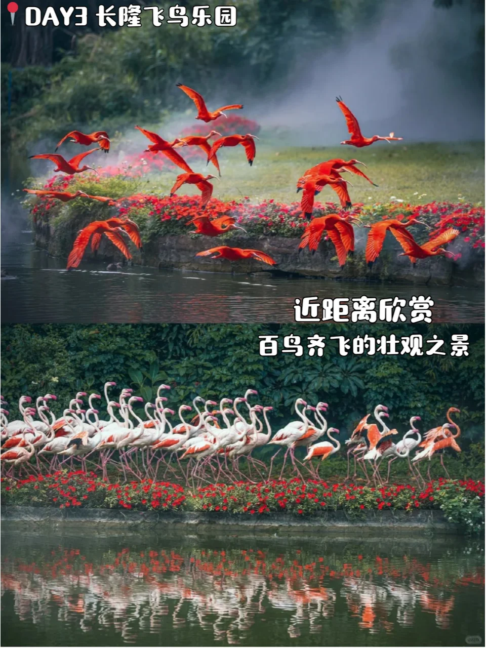 广州旅游攻略📍5天4晚跟着玩一定不会错！