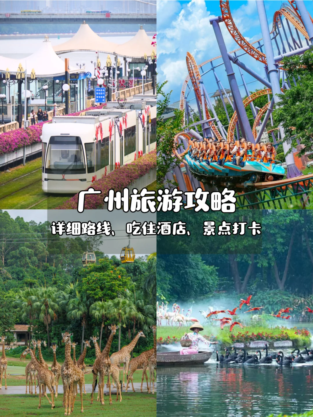广州旅游攻略📍5天4晚跟着玩一定不会错！