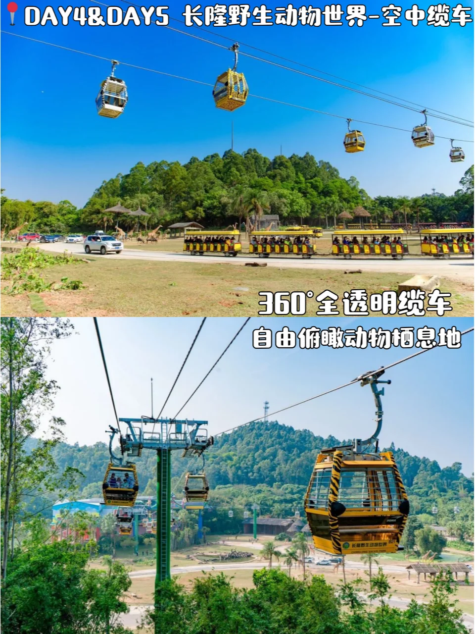 广州旅游攻略📍5天4晚跟着玩一定不会错！