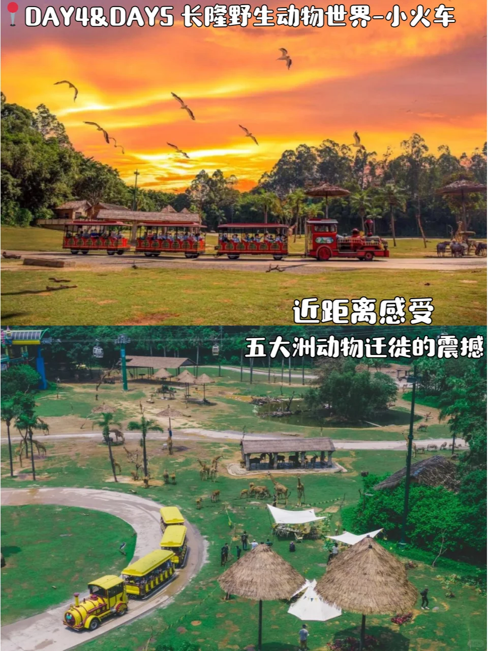 广州旅游攻略📍5天4晚跟着玩一定不会错！