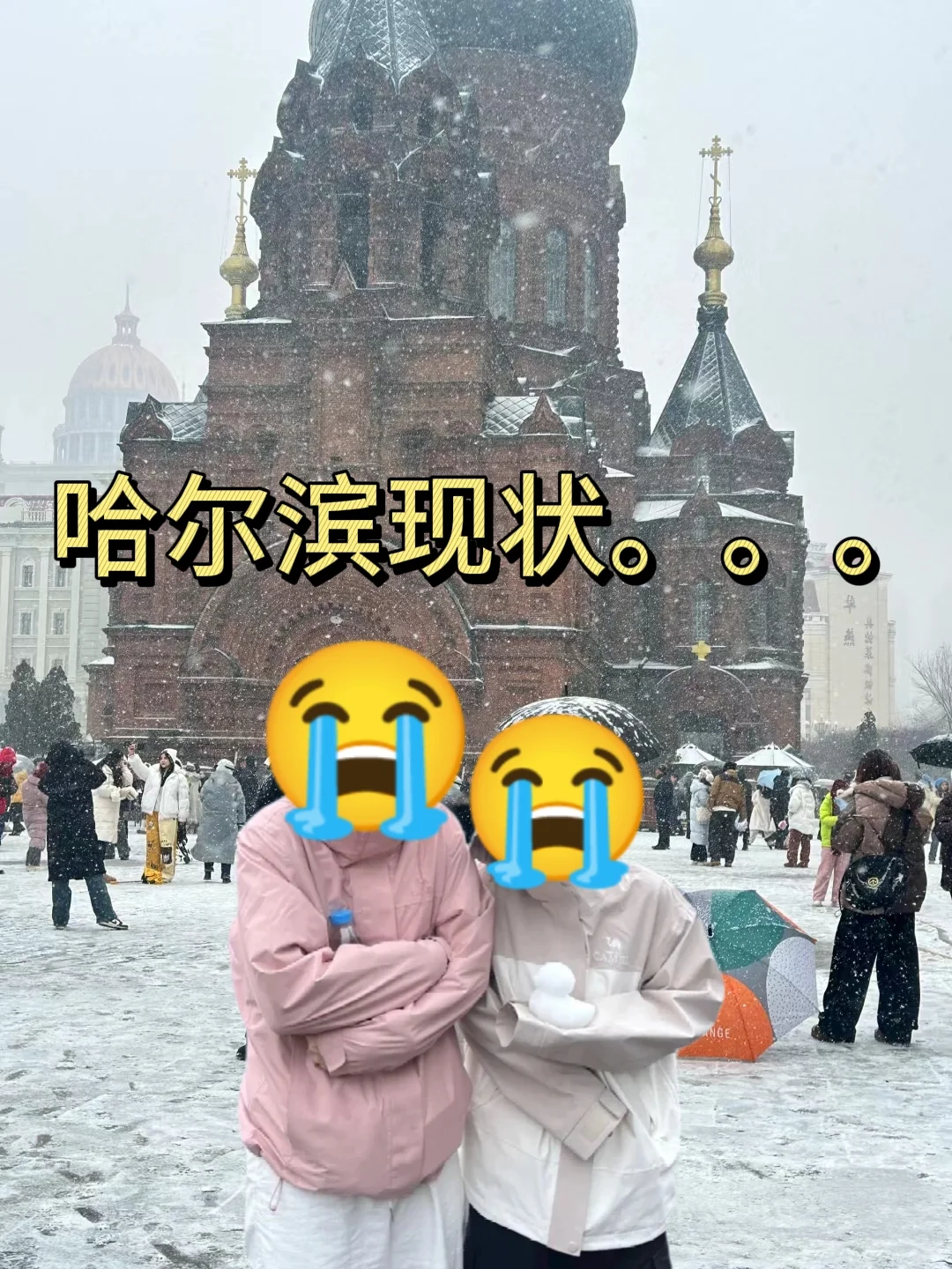 1.17📍哈尔滨已逃，崩溃了🥶说点大实话