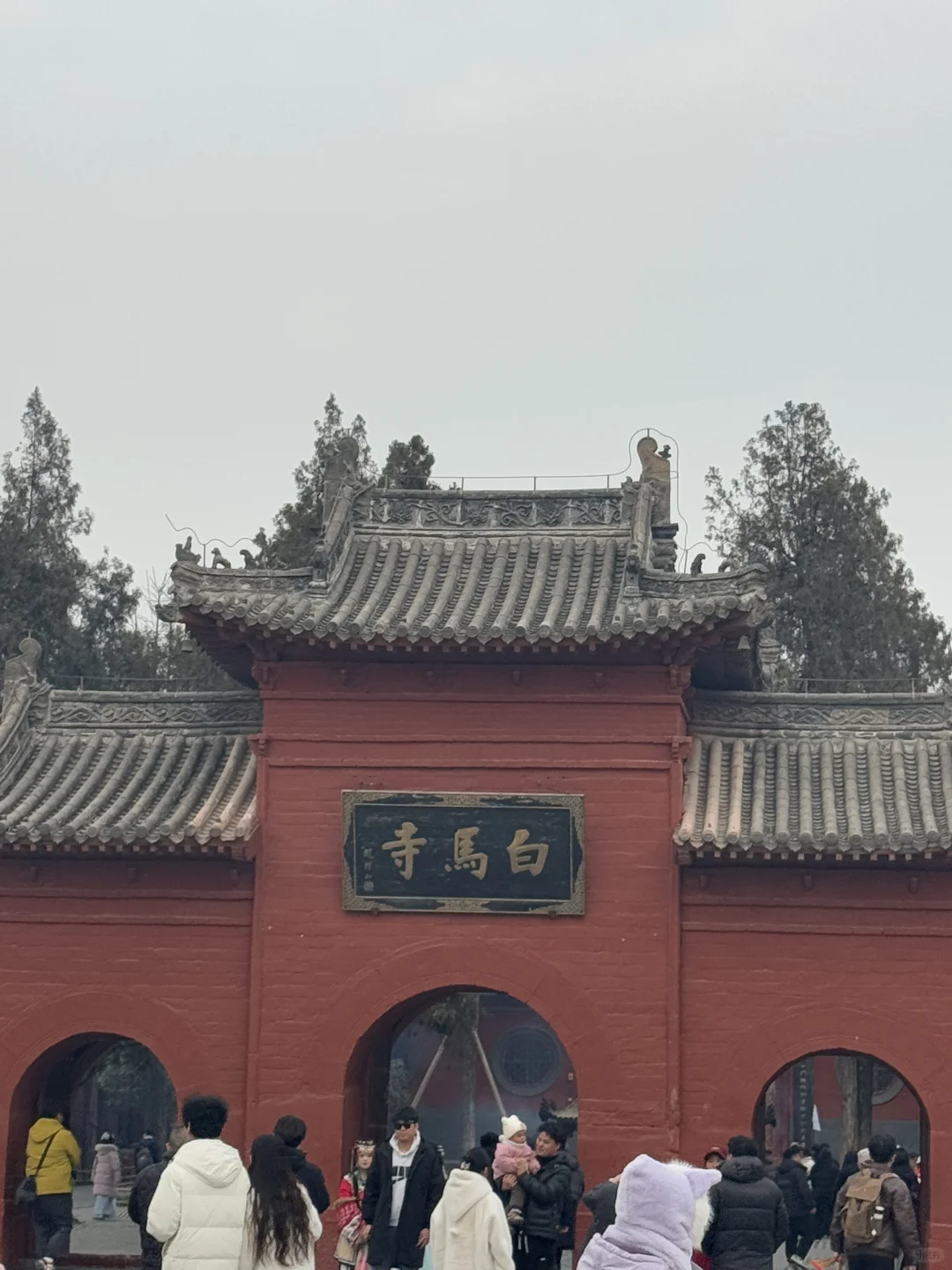 瞅瞅吧