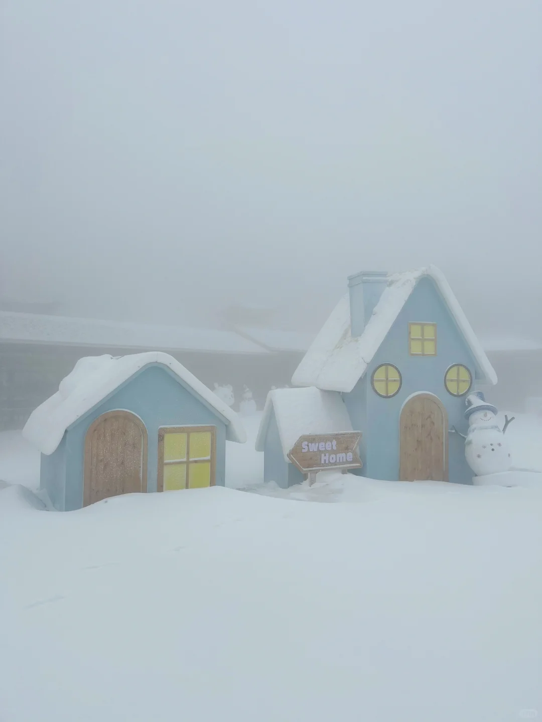 01.26庐山实况｜今天下大雪啦｜白雪皑皑！！！