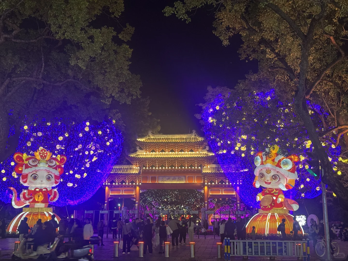 惠州西湖花灯预约最全攻略（含免预约通道）🙌