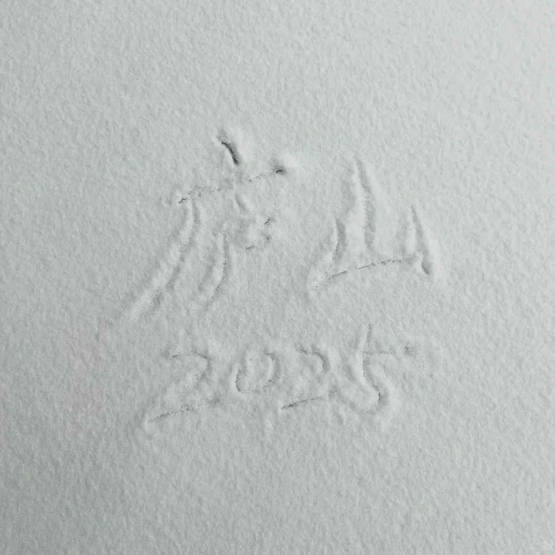 01.26庐山实况｜今天下大雪啦｜白雪皑皑！！！