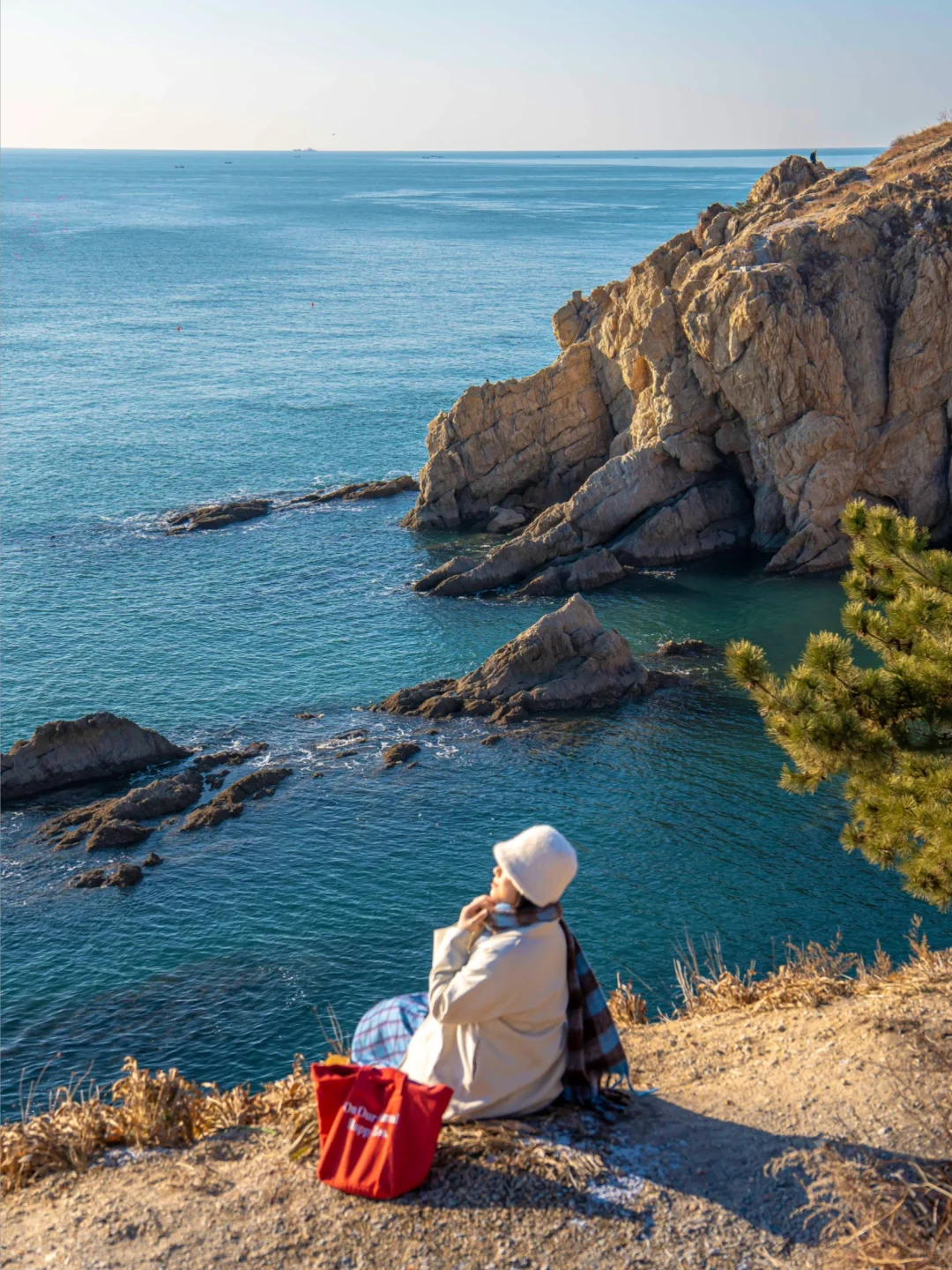 大连｜春节反向旅游攻略🌊看这一篇就够了‼️
