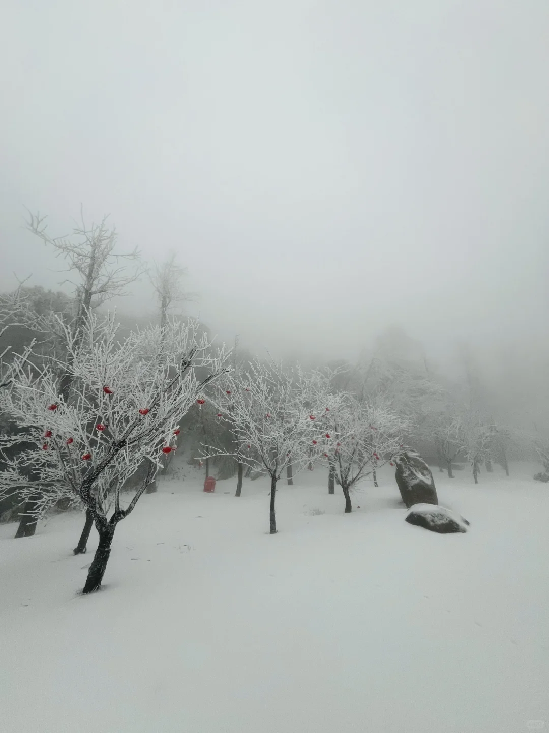 01.26庐山实况｜今天下大雪啦｜白雪皑皑！！！