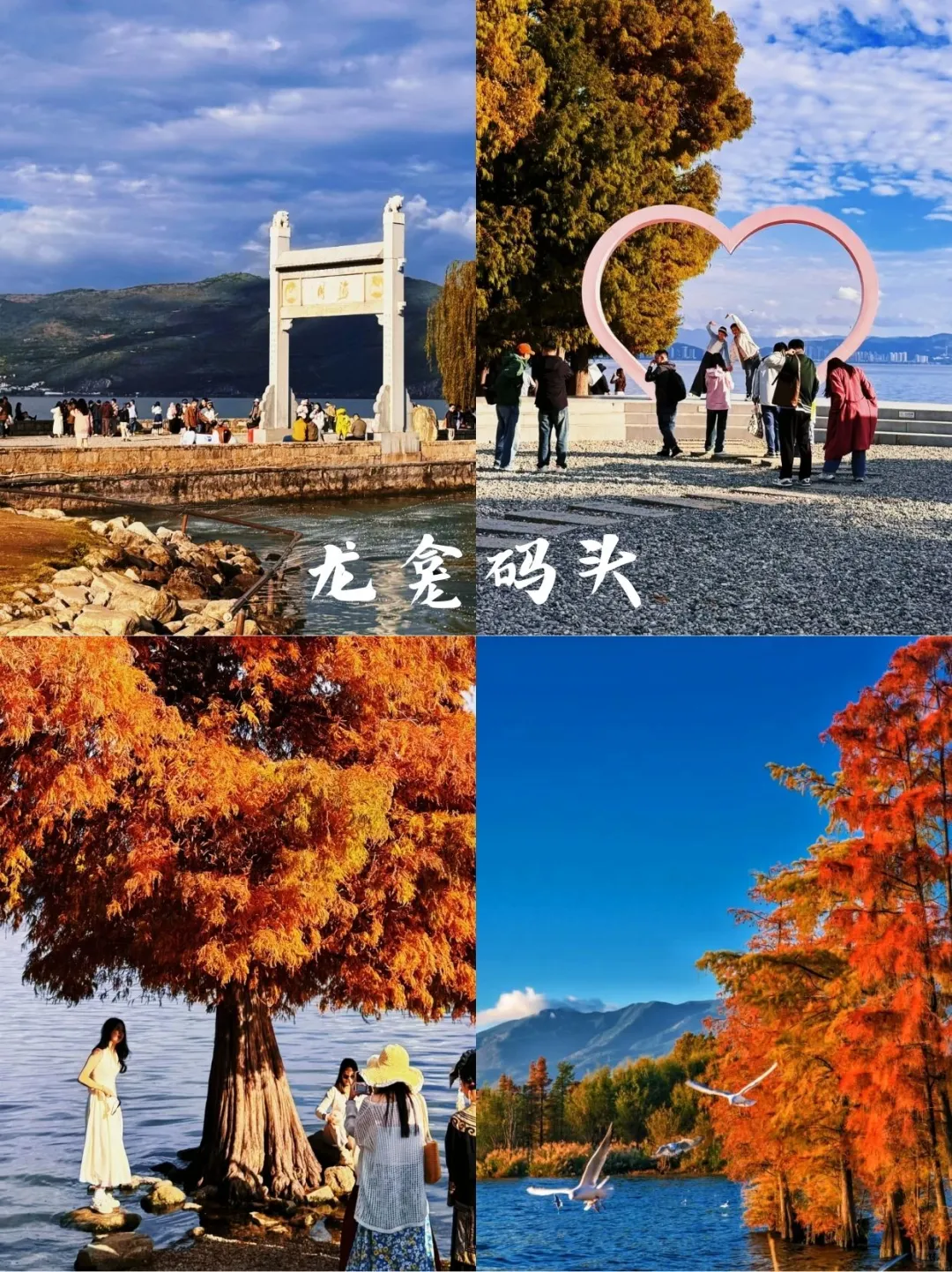 大理 | 这九个景点必去✅ 美哭了