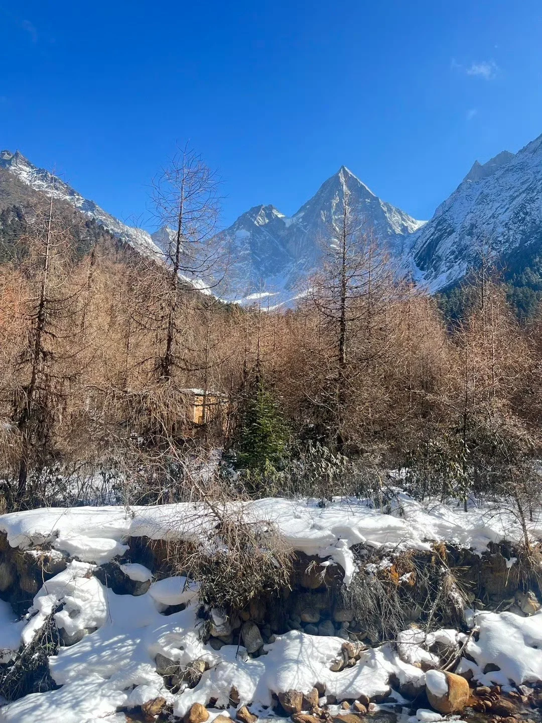 2.3📍四姑娘山已回，live实况直出，劝退不了