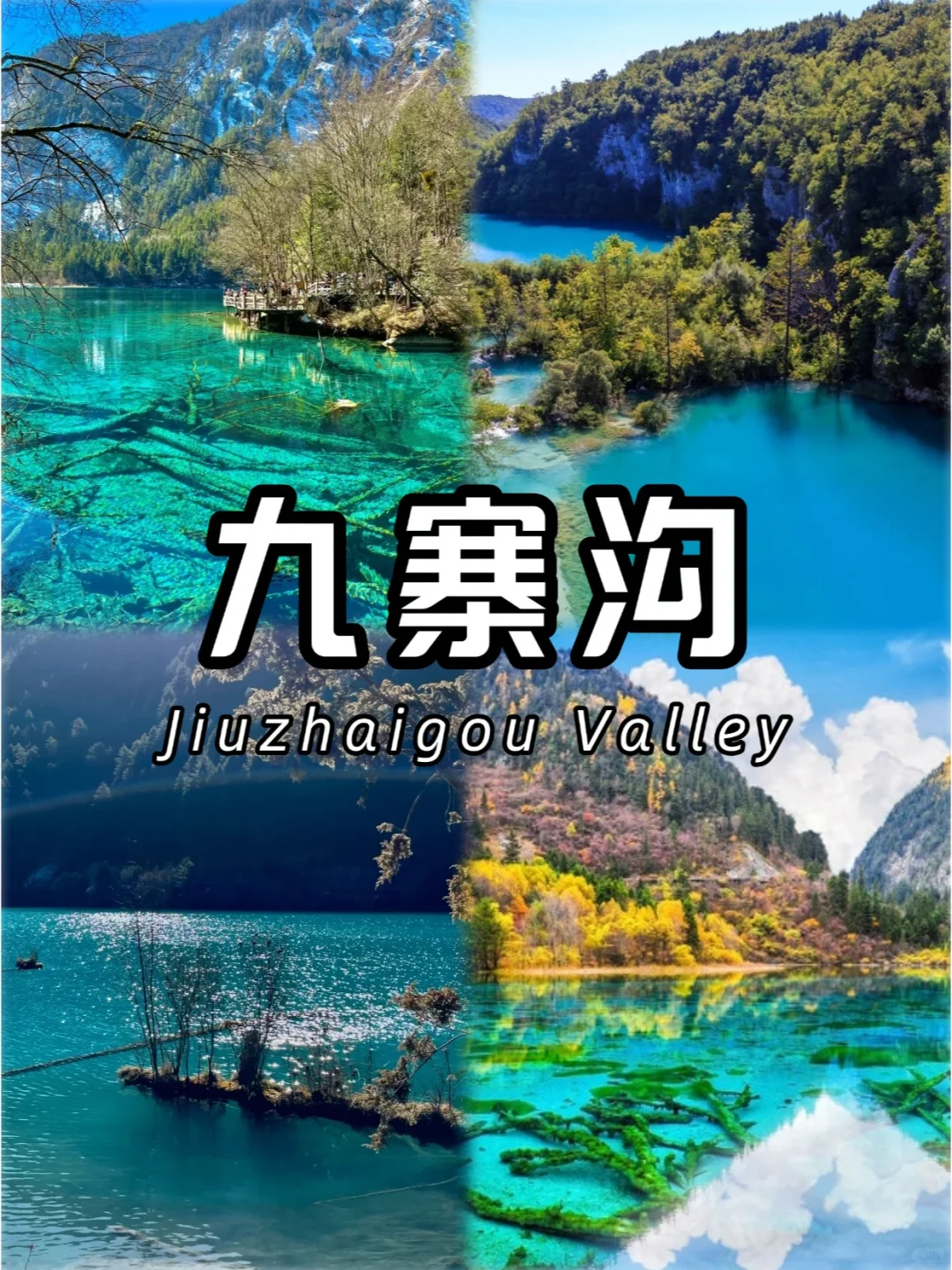 3-4月适合旅行的④个地方，春季旅游必选✔