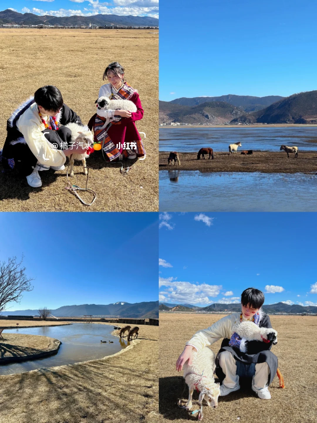 云南旅游👫七天花了2600，春节情侣路线❗