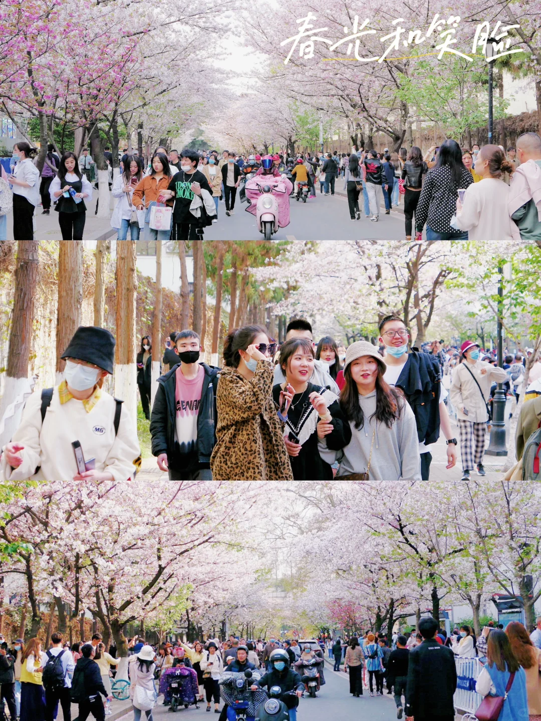 📍南京|接下来的鸡鸣寺🌸理想中的春日江南