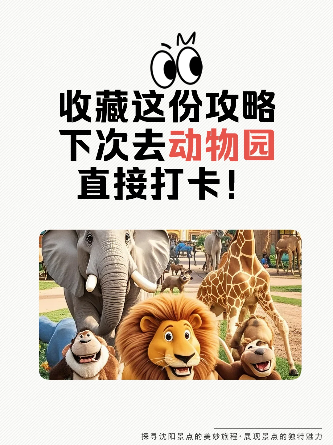 沈阳森林动物园和萌宠一起解锁治愈系大片