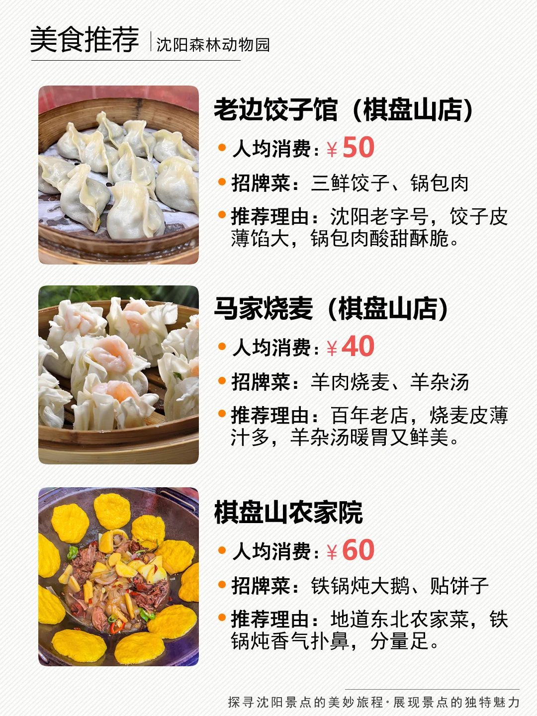 沈阳森林动物园和萌宠一起解锁治愈系大片