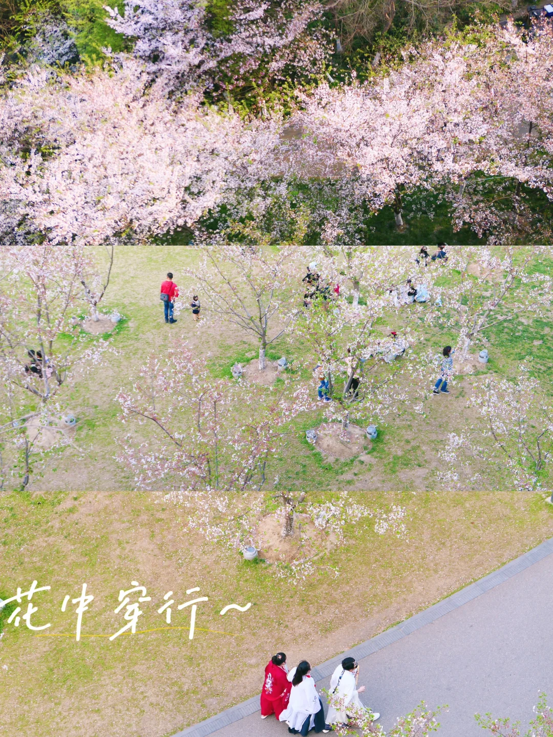 📍南京|接下来的鸡鸣寺🌸理想中的春日江南