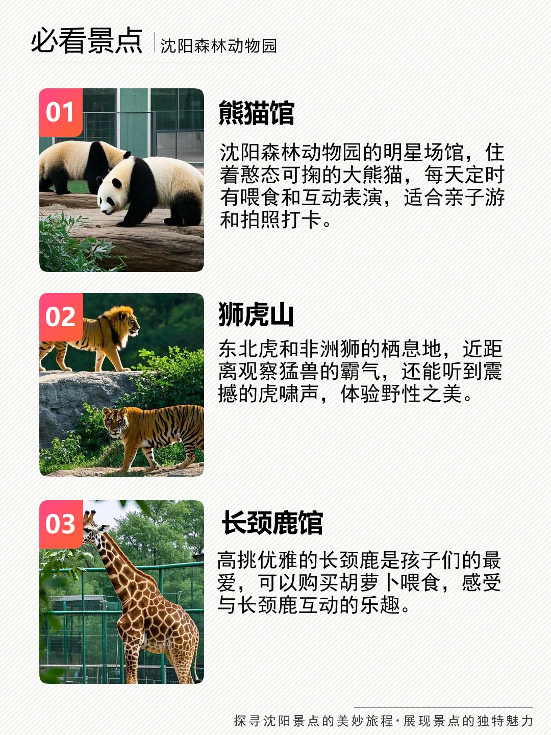 沈阳森林动物园和萌宠一起解锁治愈系大片