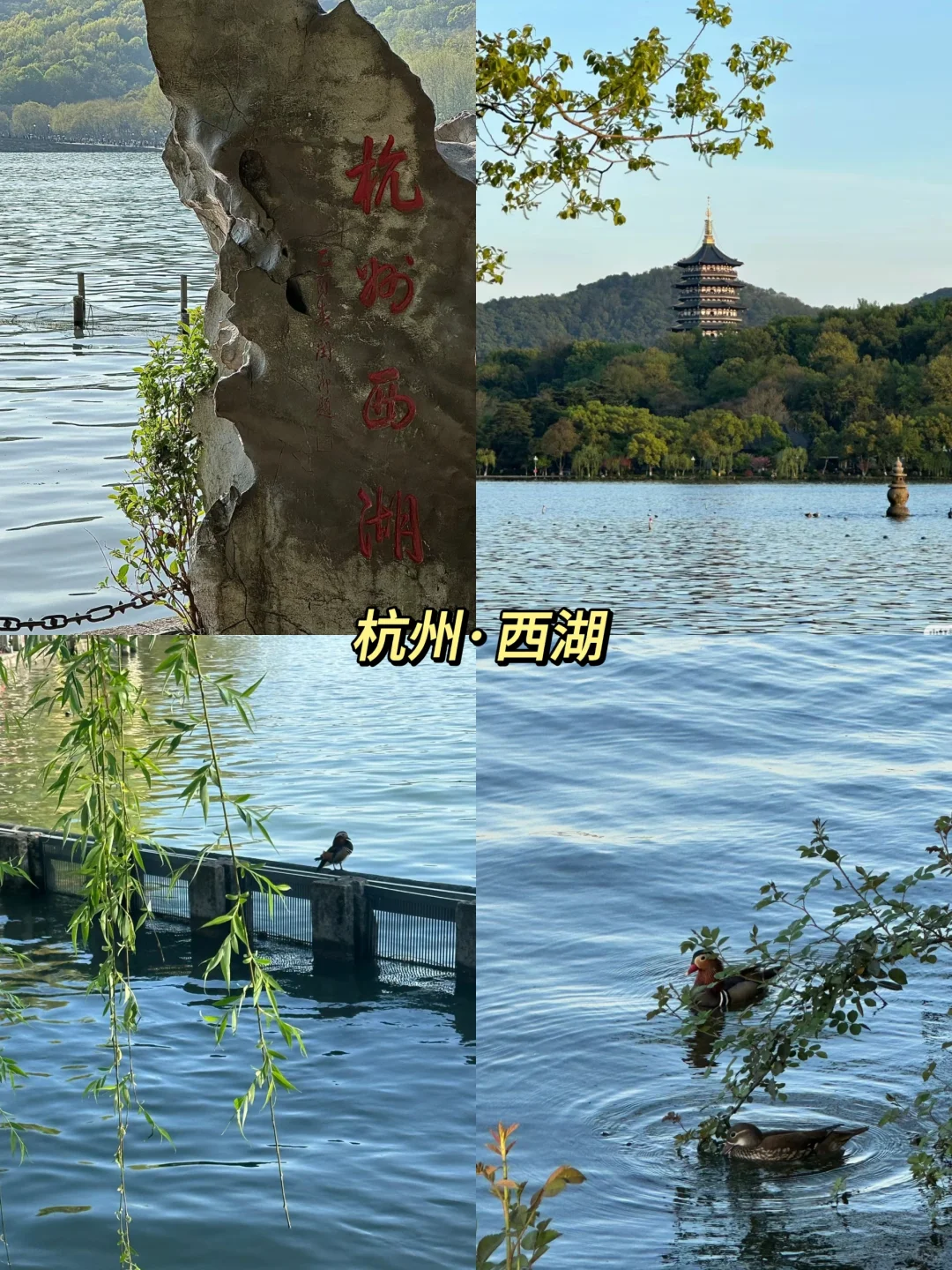 中国 10 个 “6A” 景区你去过几个？