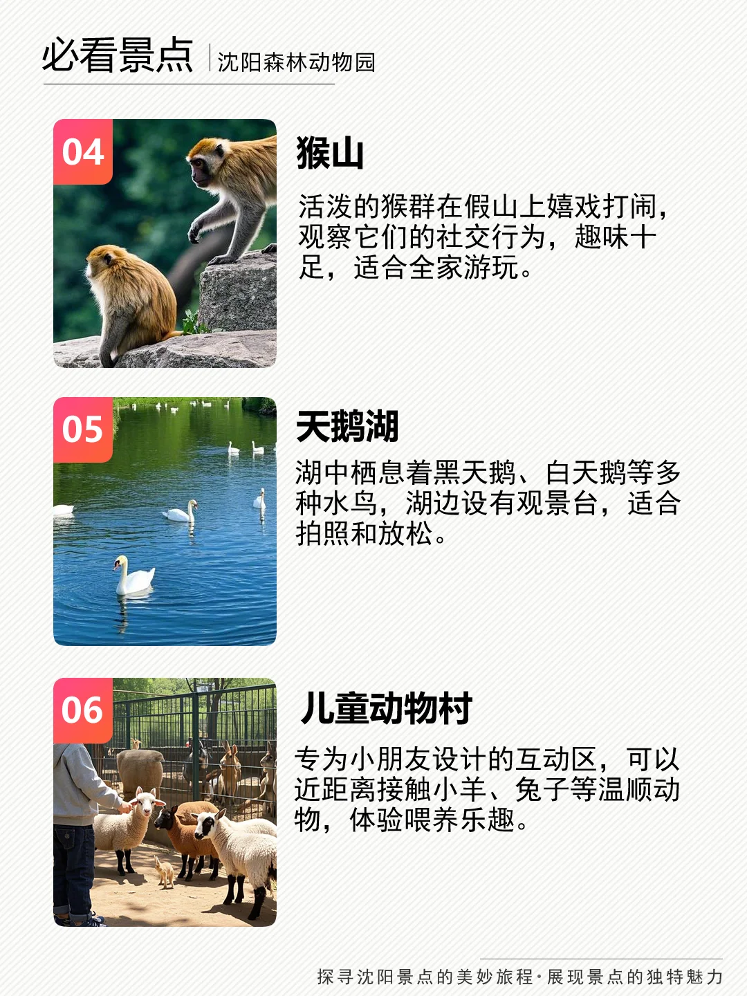 沈阳森林动物园和萌宠一起解锁治愈系大片