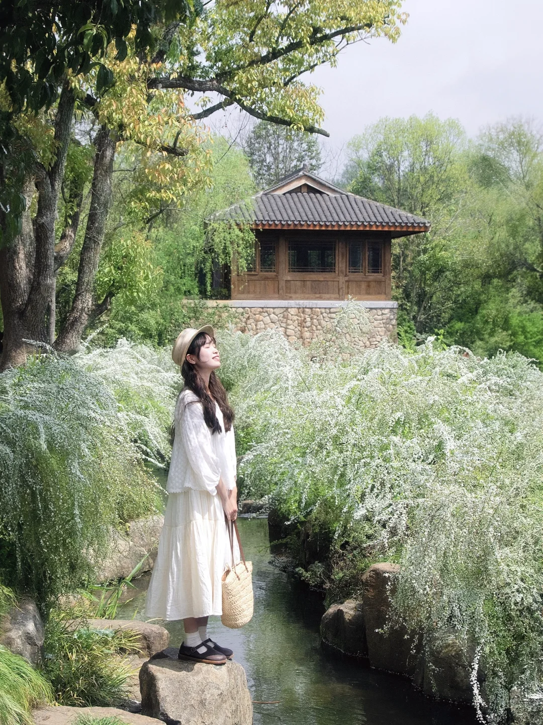 “照我说，烟花三月…🌸当然下杭州！！”