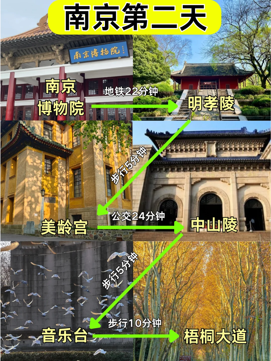 📍2.12南京已回，真被南京的天气折磨疯
