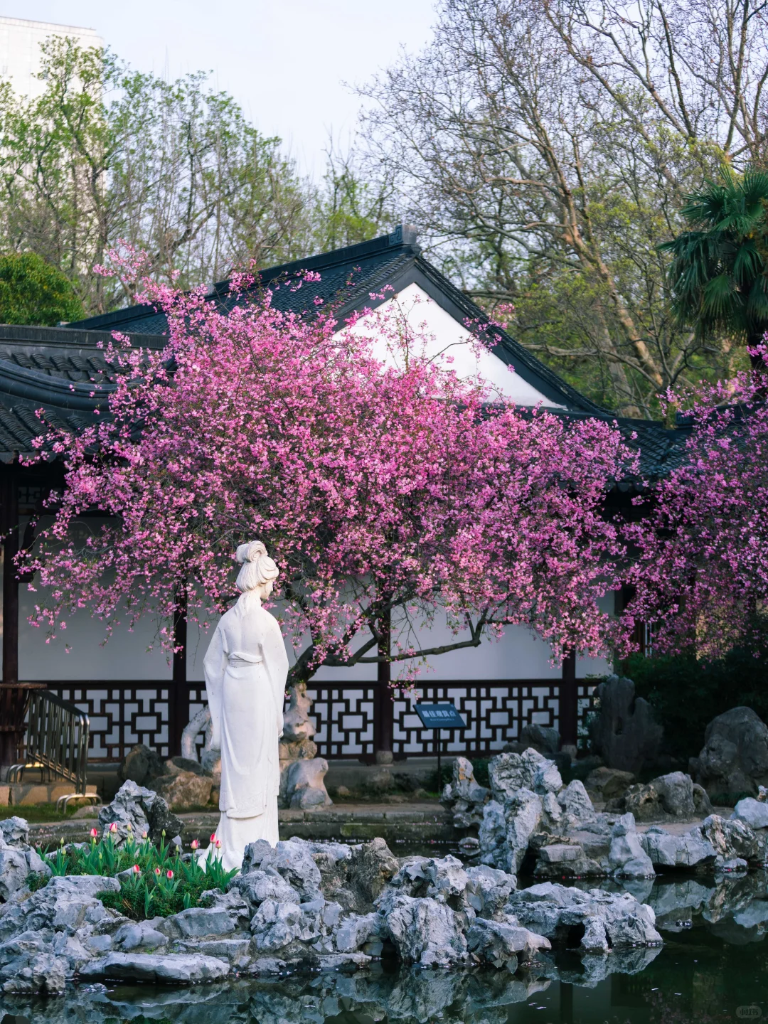 南京的春天，是一万次的春和景明。