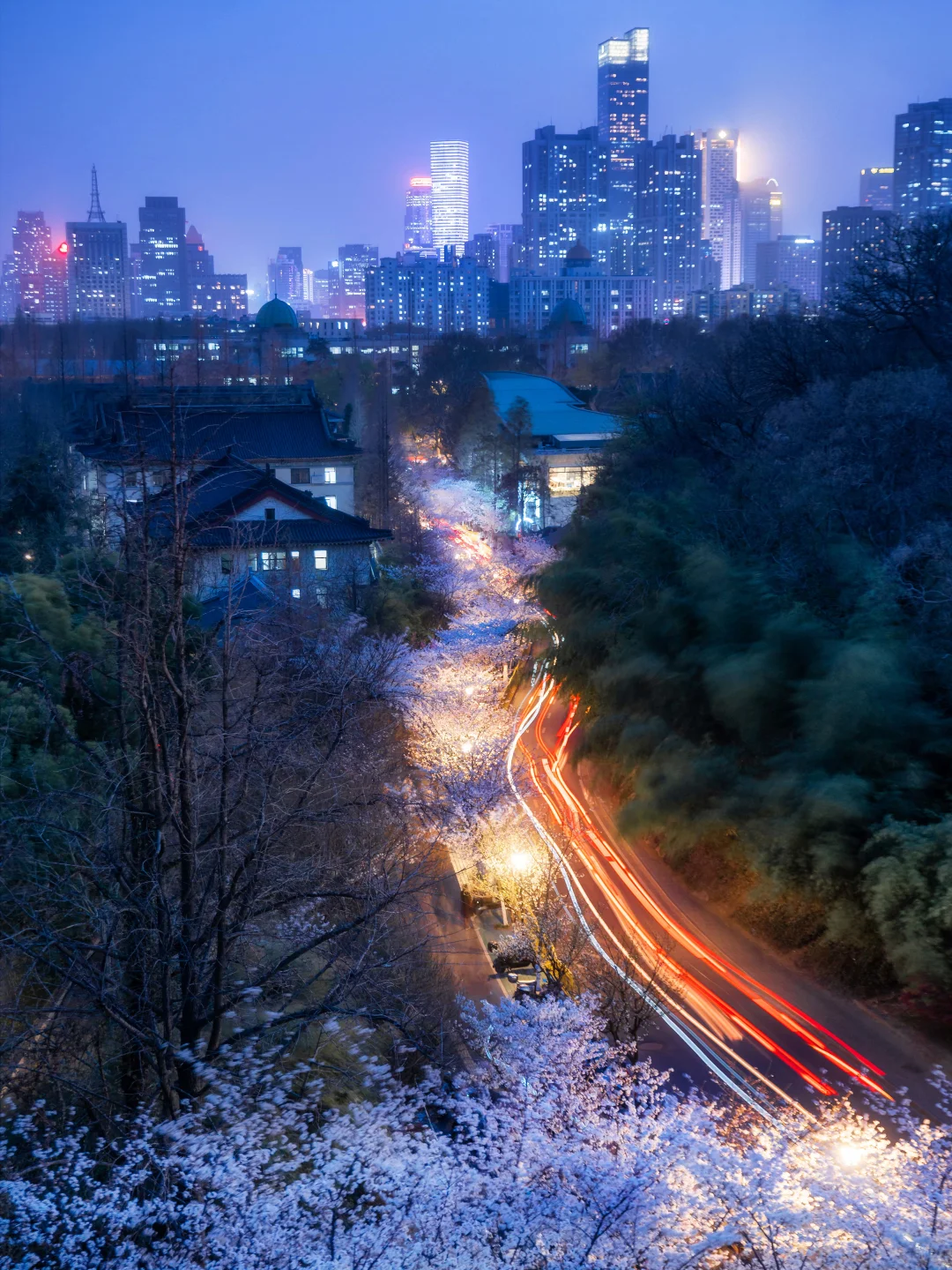 南京的春天，是一万次的春和景明。