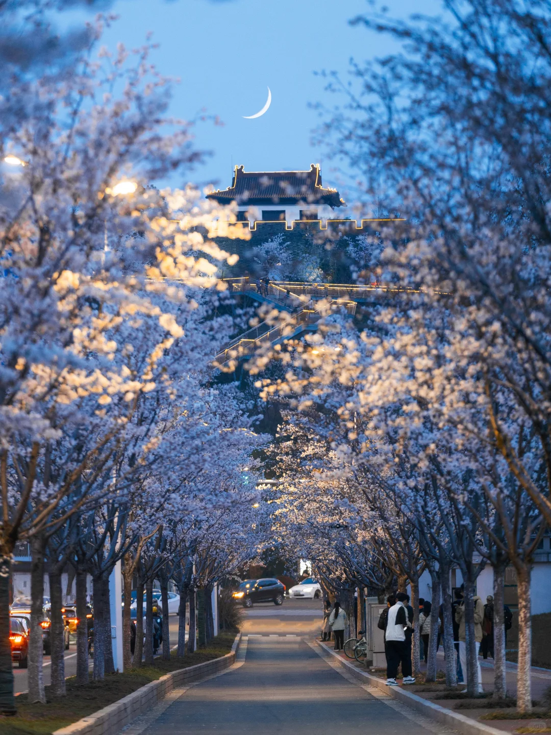 南京的春天，是一万次的春和景明。